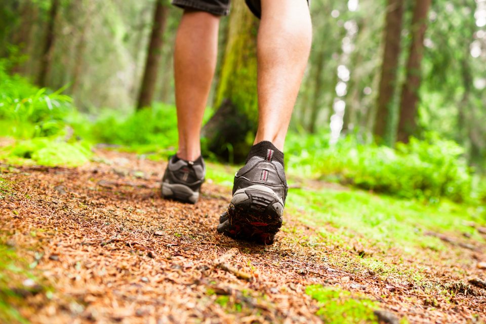 Person walking in the woods